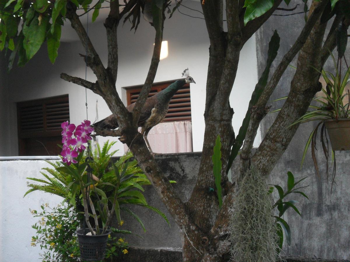 Sun Hill Home Weligama Exterior photo